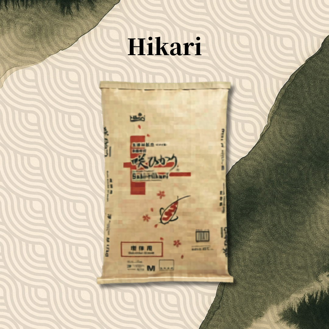 Hikari