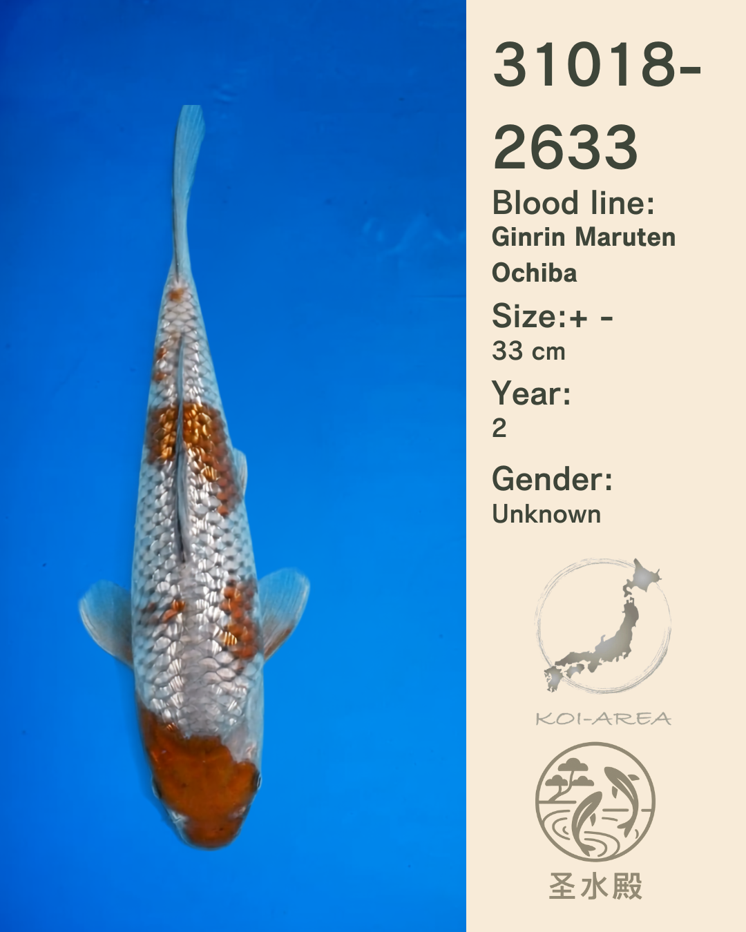 31018-2633