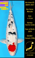Tancho Sanke Show Koi 86693-2651