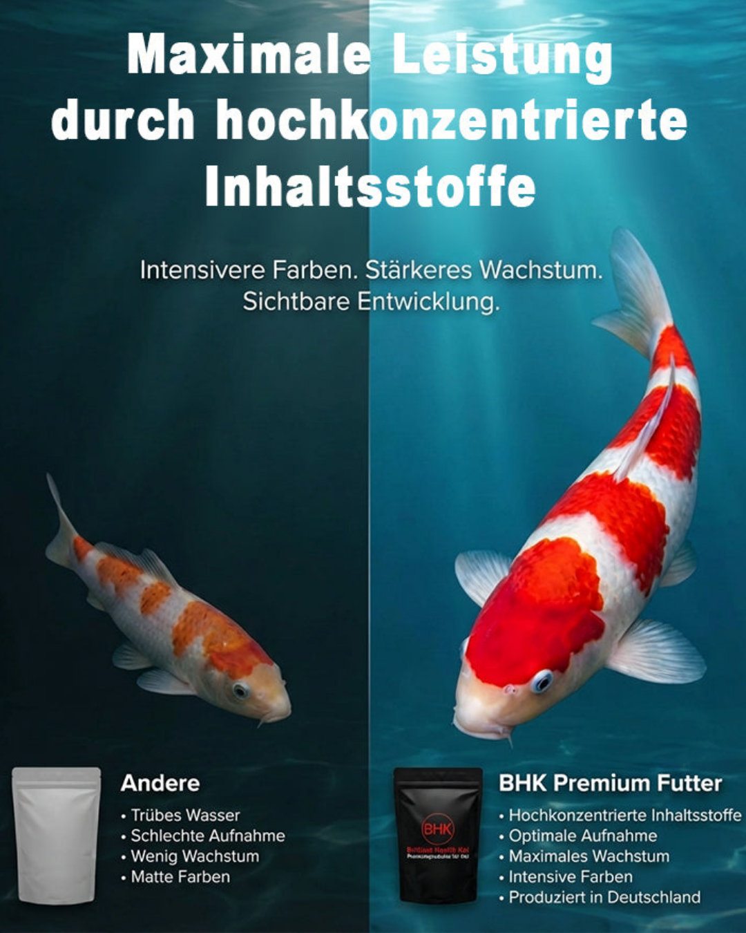 BHK Daily Winter Koifutter – sinkendes Winterfutter für Koi