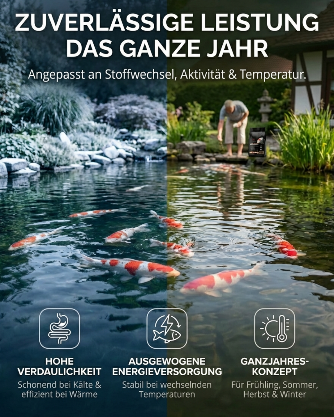 BHK Daily All Season - schwimmendes Koifutter für ganzjährige Fütterung