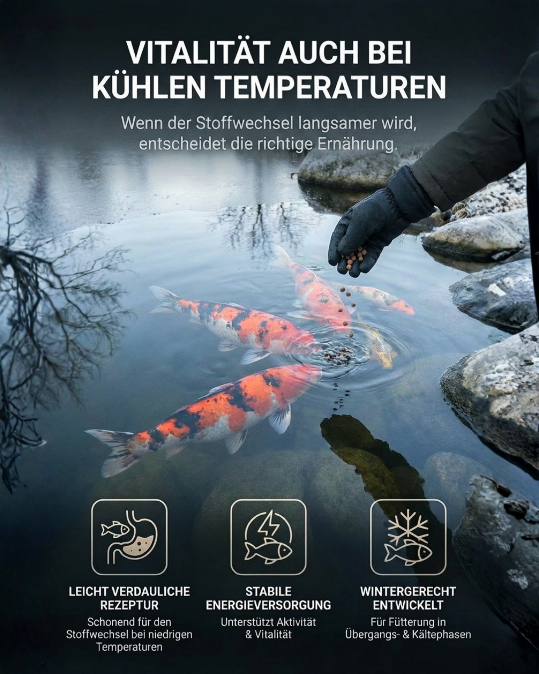BHK Daily All Season – sinkendes Koifutter für ganzjährige Fütterung