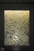 OASE ProfiClear Premium Moving Bed Modul