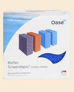 Ersatzschwamm Set 2 x blau BioTec 40-/90000
