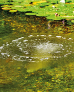 Oase Belüfterszab S für AquaOxy