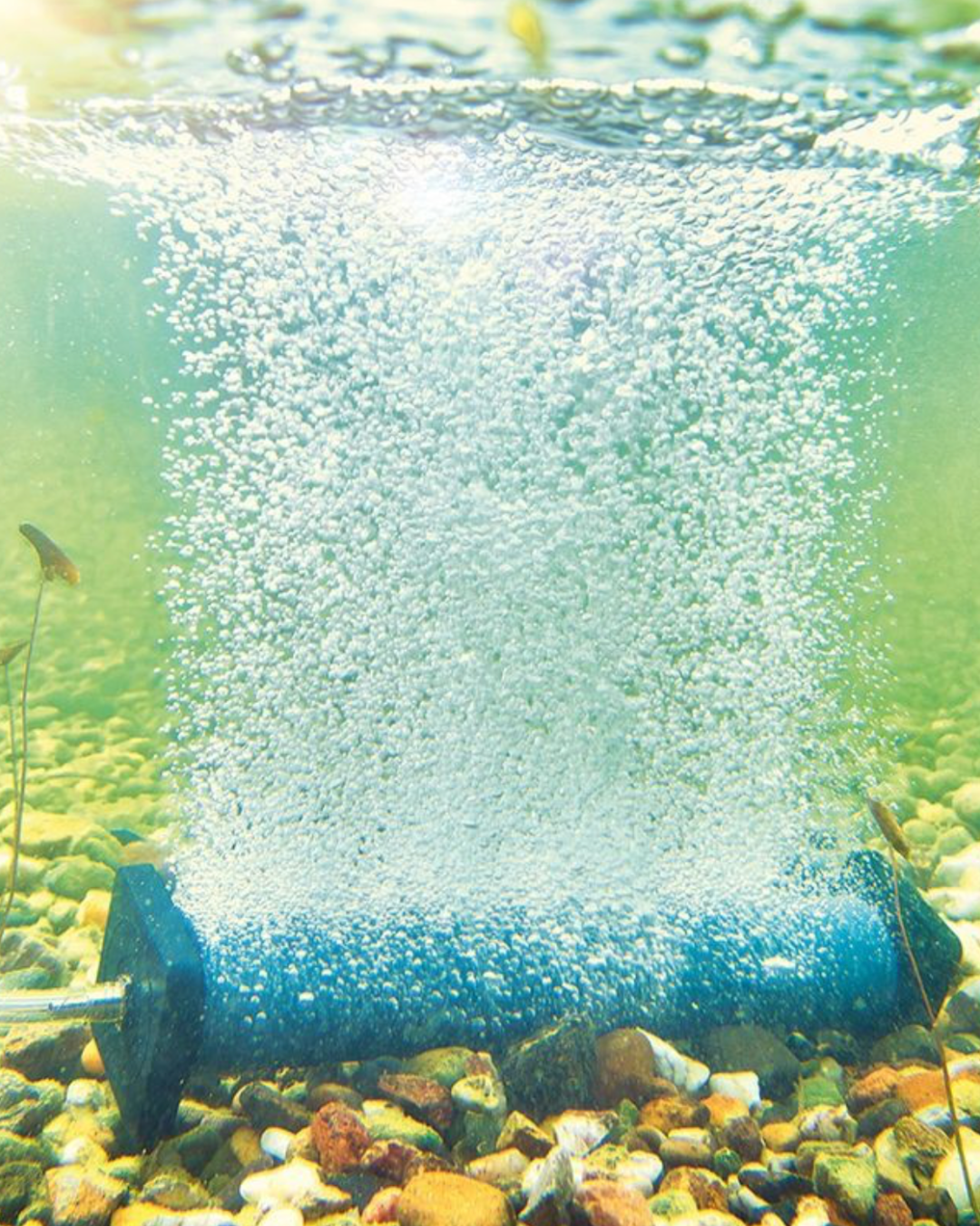 Oase Belüfterszab S für AquaOxy