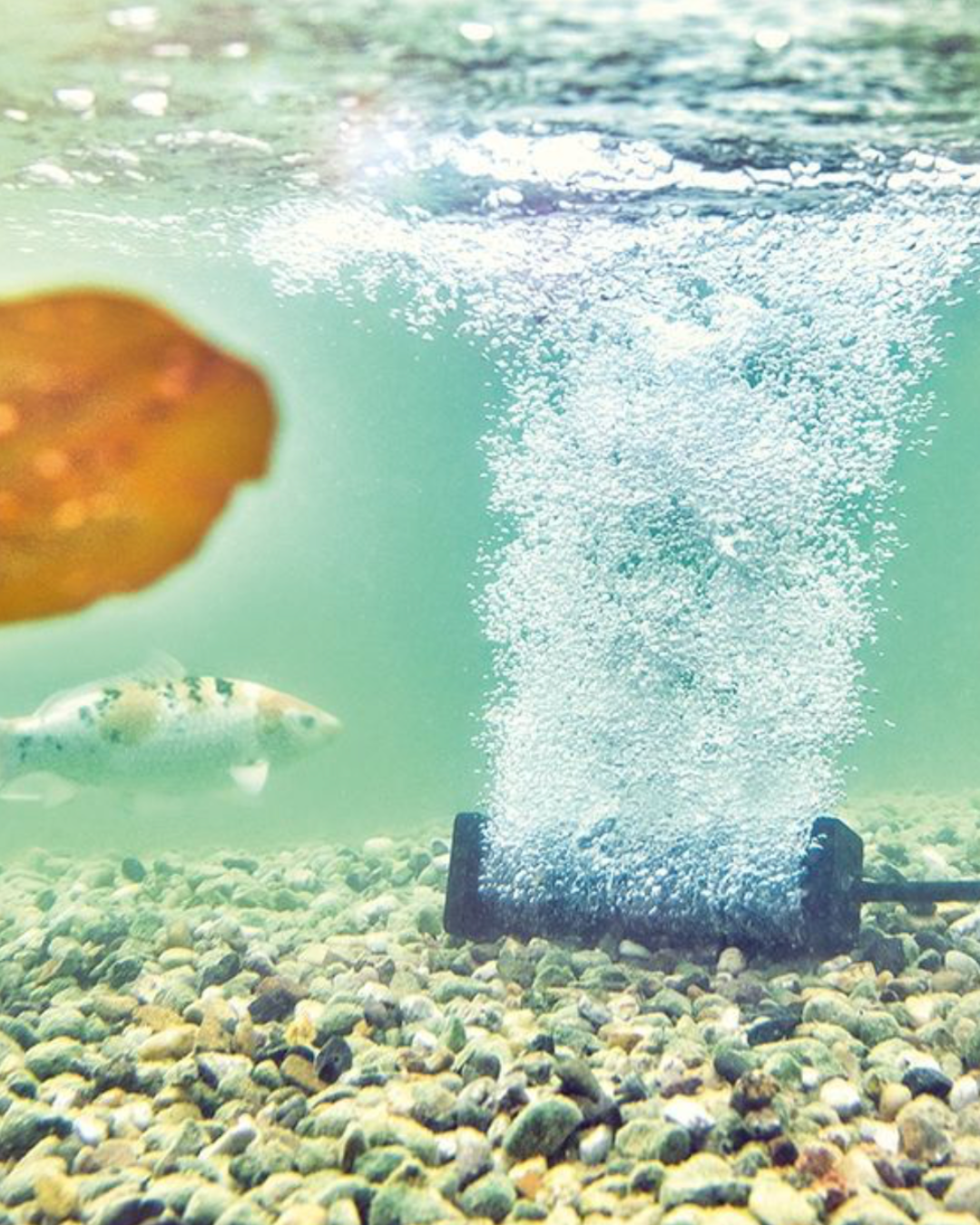 Oase Belüfterszab S für AquaOxy
