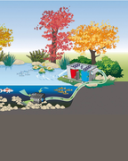 Oase BioSmart 36000