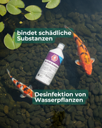 Bio-Teichdesinfekt 1L