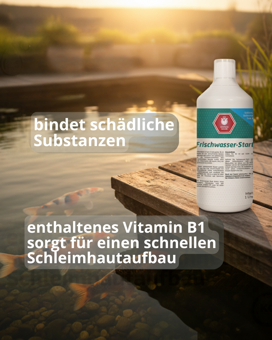 Frischwasser-Start 1L