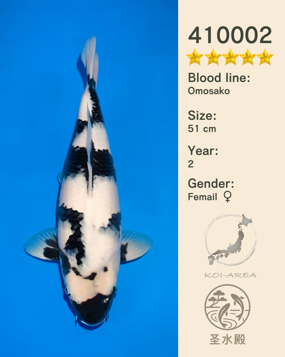 Show-Koi OG-002