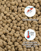 Tri Koi® Wheat Germ 6,5mm