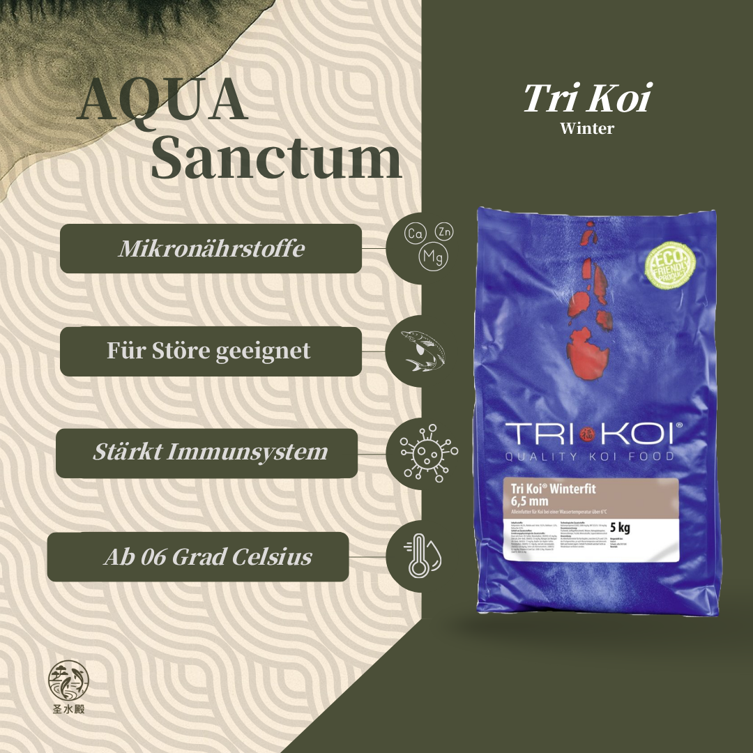 Tri Koi Winter Fit